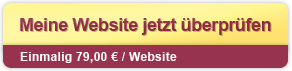 Meine Website jetzt überprüfen